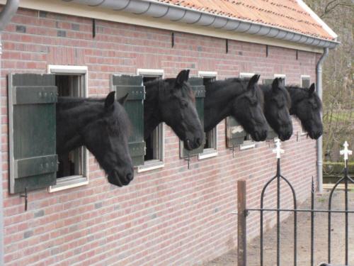 Gerenoveerde Paardenstal